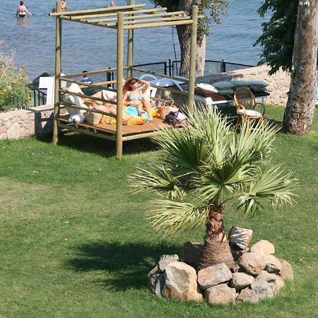 Gumbet Cove Hotel Екстер'єр фото